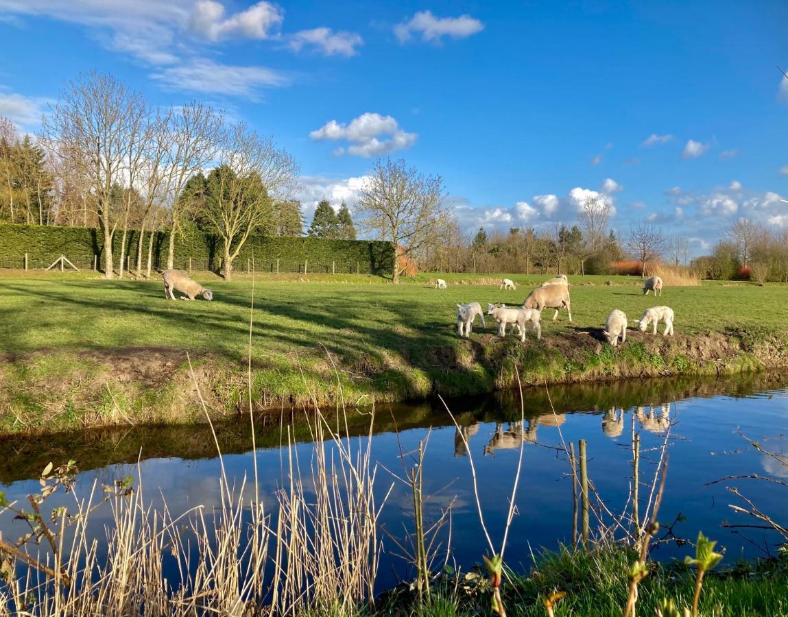 Lodges Near The Rhine - Sustainable Residence Hazerswoude-Rijndijk Dış mekan fotoğraf