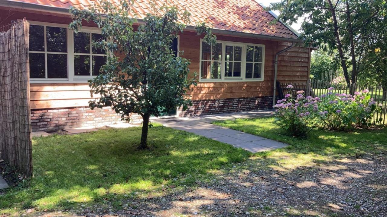 Lodges Near The Rhine - Sustainable Residence Hazerswoude-Rijndijk Dış mekan fotoğraf